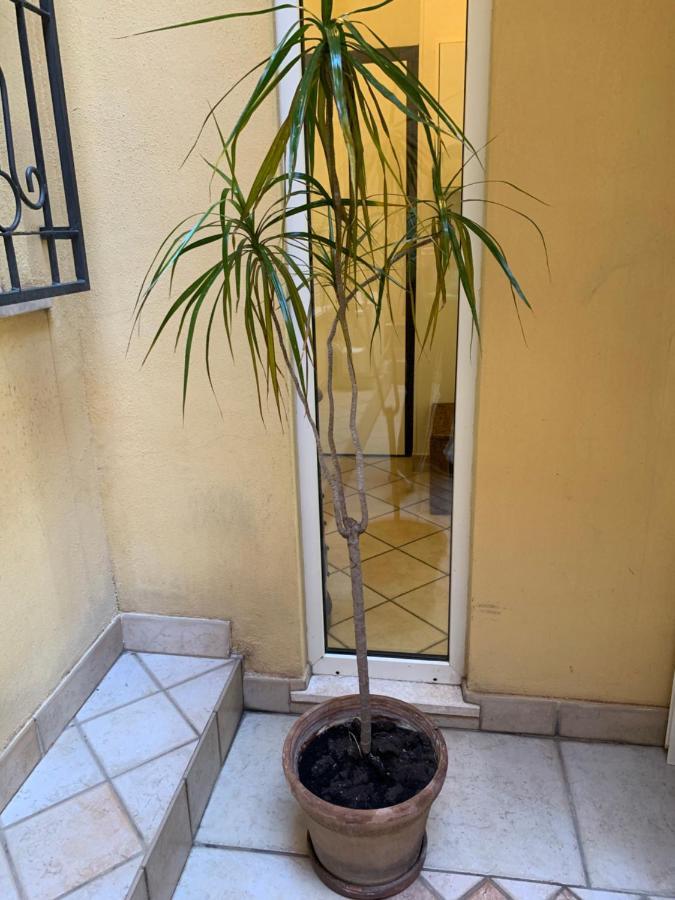 Biora Apartments Cagliari Ngoại thất bức ảnh